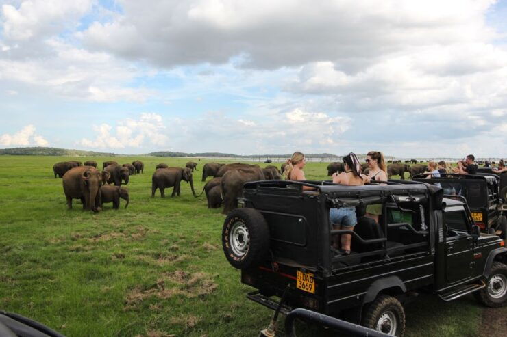 Sigiriya and Dambulla Day Trip From Colombo or Negombo - Booking Details