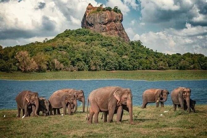 Sigiriya and Dambulla Day Trip from Pasikuda and Kalkuda - The Experience in Detail