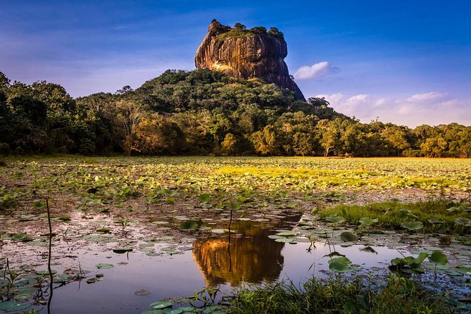 Sigiriya and Dambulla From Negombo - Background