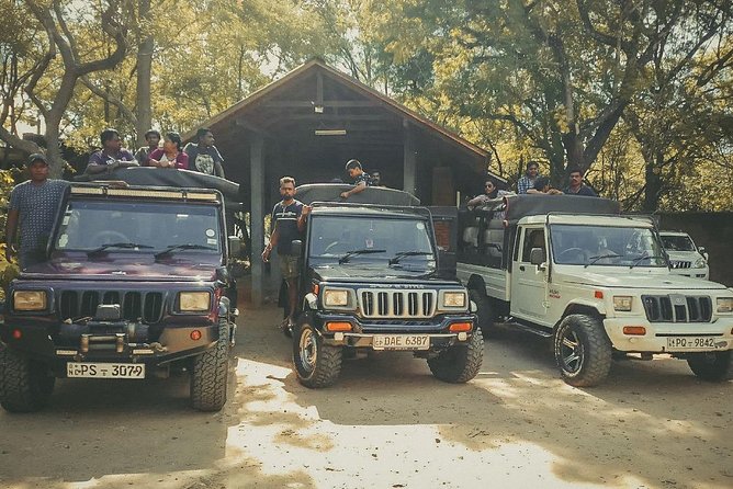 Sigiriya and Minneriya Great Escape - Pickup Information