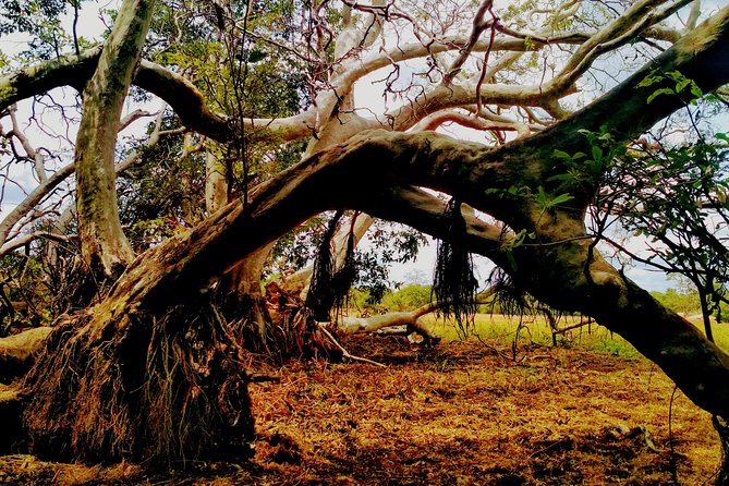 Sigiriya and Minneriya Great Escape - Customer Reviews