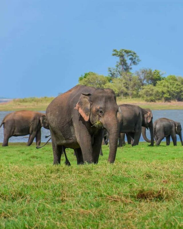 Sigiriya: Countryside Jeep Tour with Viewpoints & Villages - Exploring Sri Lanka’s Countryside: Sigiriya Jeep Tour with Viewpoints & Villages