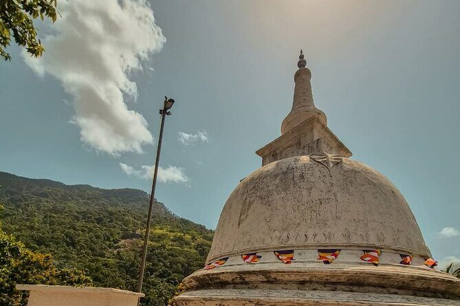 Sigiriya Dambulla and Minneriya Day Tour from Kandy - Full Breakdown of the Day Tour: What to Expect