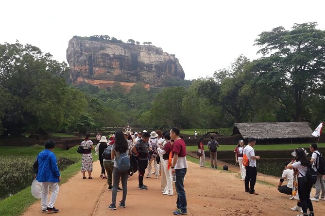 Sigiriya, Dambulla and Minneriya National Park Private Tour In - Booking Details