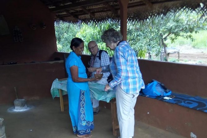 Sigiriya & Dambulla Day Excursion From Negombo - Starting Point and Transport