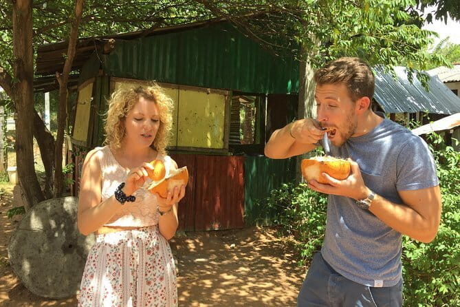 Sigiriya & Dambulla Day Tour - The Sum Up