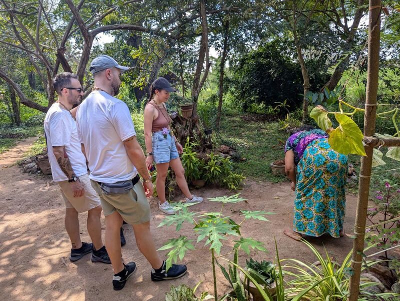 Sigiriya & Dambulla Day Tour from Colombo, Kaluthara or Bentota Area - What the price really buys
