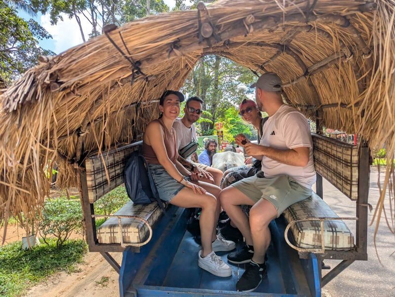 Sigiriya & Dambulla Day Tour from Colombo, Kaluthara or Bentota Area - Should you book the Sigiriya and Dambulla day tour?