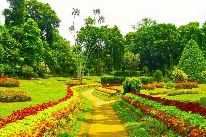 Sigiriya, Dambulla, Safari and Kandy in 3 days - An In-Depth Look at the 3-Day Itinerary