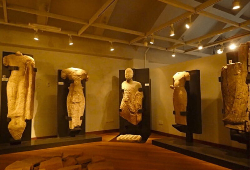 Sigiriya, Dambulla & Safari Day Tour from Colombo - Discover the Culture and Wildlife of Sri Lanka in a Day