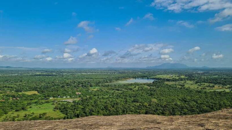 Sigiriya, Dambulla & Safari Day Tour from Colombo - Is This Tour Worth the Price?