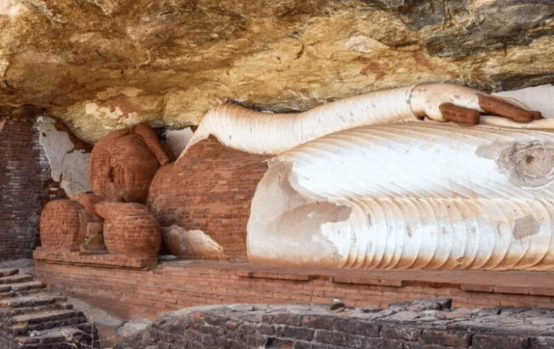 Sigiriya, Dambulla & Safari Day Tour from Colombo - FAQs