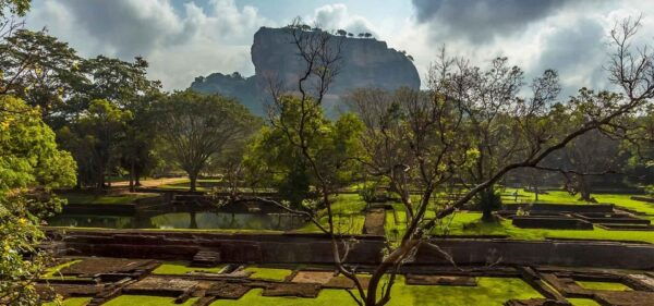 Sigiriya & Dambulla: With Jeep Safari Tour From Trincomalee - What to Expect