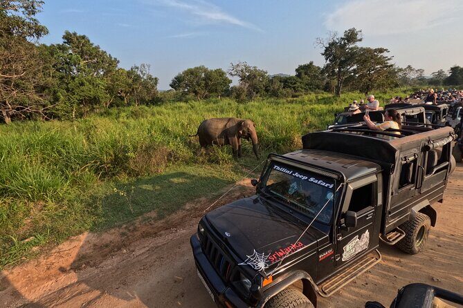 Sigiriya Dambulla Wonders Day Trip from Kandy - Practical Details and Tips