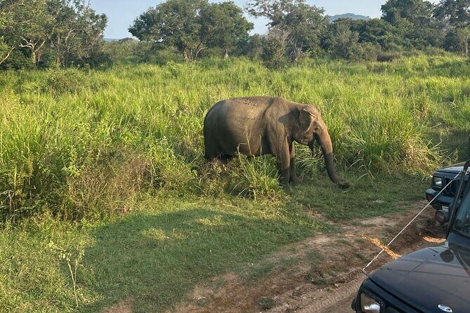 Sigiriya Dambulla Wonders Day Trip from Kandy - Additional Stops and Optional Activities