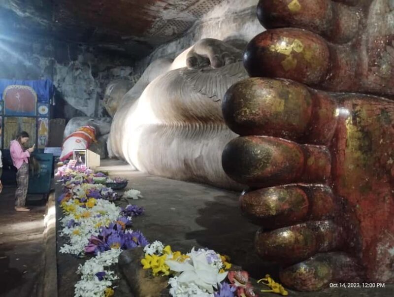 Sigiriya: Day tour from Negombo with hotel transfers - The Journey Begins: Pickup and Travel to Dambulla