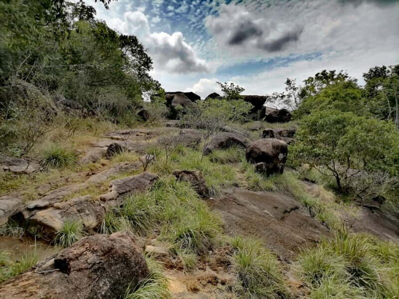 Sigiriya: Dimbulagala/Danigala Guided Hike & Wildlife Safari - Introduction