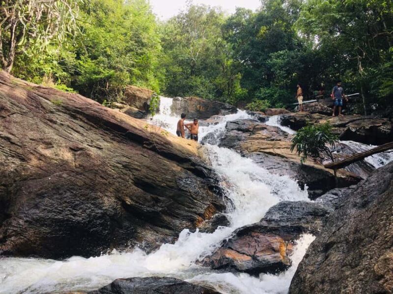 Sigiriya: Dimbulagala/Danigala Guided Hike & Wildlife Safari - The Sum Up