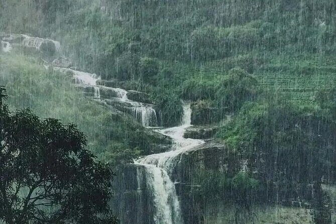 Sigiriya, Elephants & Kandy Day Adventure - An In-Depth Look at the Tour Experience