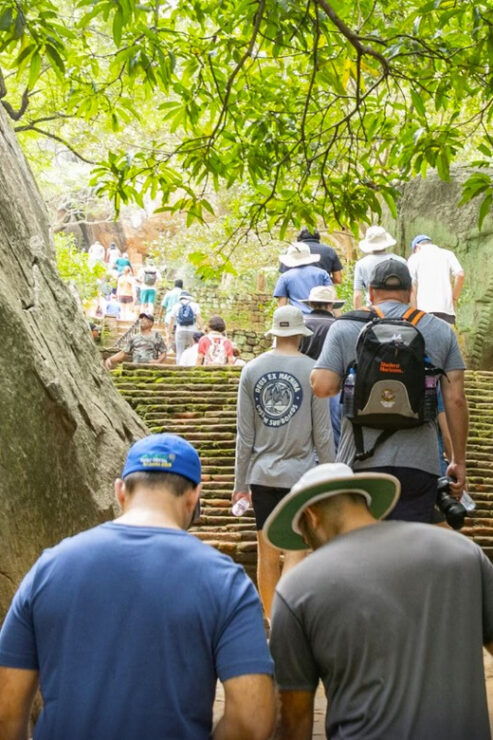 Sigiriya Fortress and Wildlife Safari, Budget Tour - Good To Know