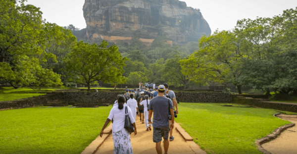 Sigiriya Fortress and Wildlife Safari, Budget Tour - Experience Highlights