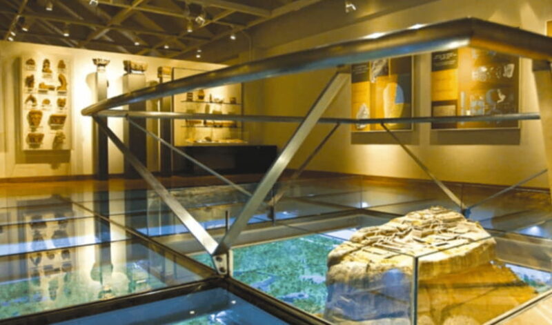 Sigiriya Fortress and Wildlife Safari from Colombo - FAQs