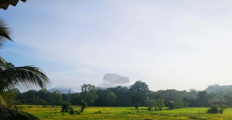 Sigiriya: Guided Bird Watching and Jungle Tour With Lunch - Highlights of the Experience
