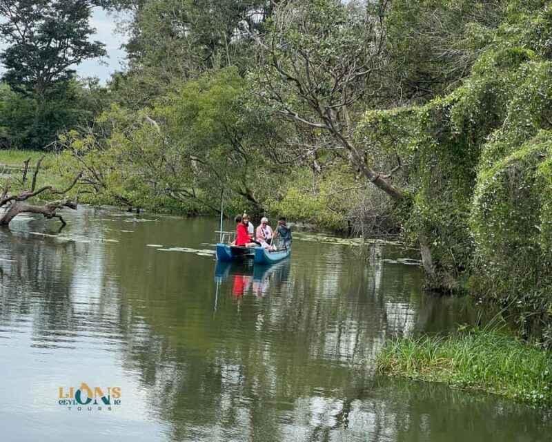 Sigiriya: Habarana Lake Boat Safari & Wildlife Experience - A Relaxing Introduction to Sri Lankan Lake Life
