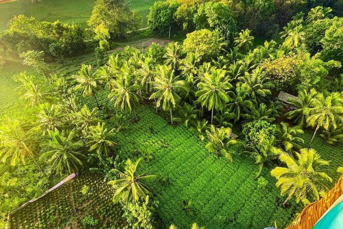 Sigiriya & Habarana: Sunrise Hot Air Balloon Ride Experience - An In-Depth Look at the Hot Air Balloon Tour