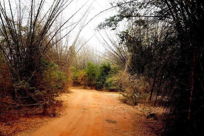 Sigiriya Hike & Minneriya Safari Private Full Day Tour - Logistics and Practicalities