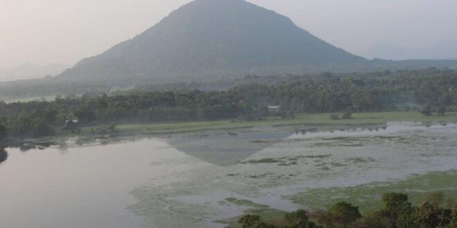 Sigiriya: Hot Air Ballooning, a Wonderful Experience! - Pricing and Location