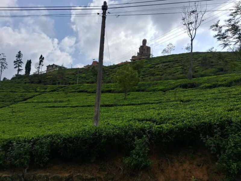 Sigiriya, Kandy, Ella : Explore Sri Lanka's Attractions Tour - Transportation, Group Size, and Practicalities