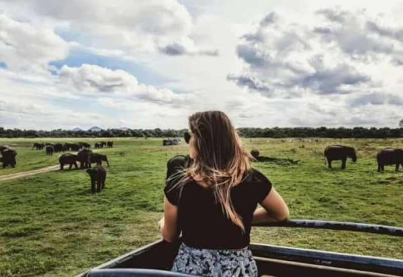 Sigiriya: Kaudulla National Park Safari & Village Tour - Good To Know