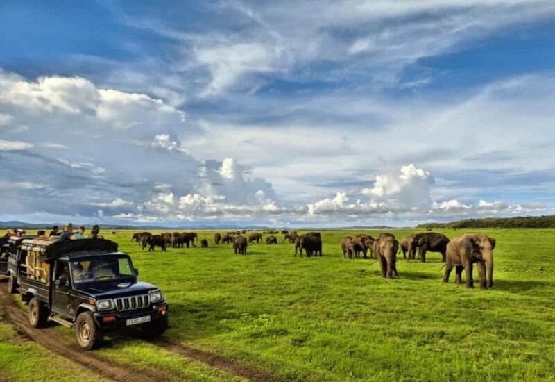 Sigiriya: Kaudulla National Park Safari & Village Tour - Final Thoughts