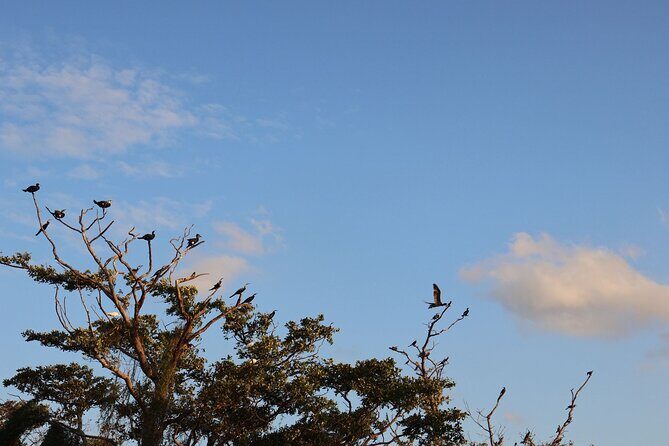 Sigiriya Kayaking with Sunrise and Sunset Experience - Frequently Asked Questions