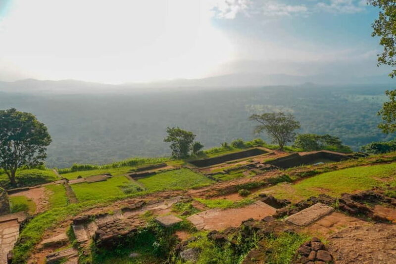 Sigiriya Lion Rock Hike & Minneriya National Park Safari - Who Would Love This Tour?