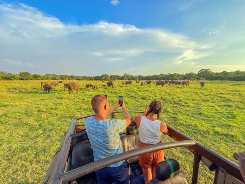 Sigiriya: Lion Rock Hike & Minneriya Safari Day Tour - The Logistics: Comfort and Convenience