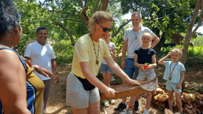 Sigiriya Lion Rock & Minneriya National Park Elephant Safari - Practical Details and Tips