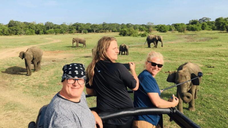 Sigiriya Lion Rock & Minneriya National Park Elephant Safari - Lunch and Relaxation