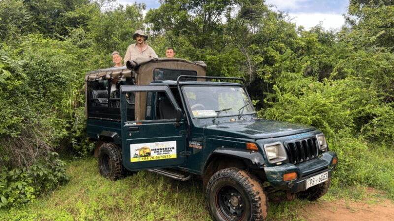 Sigiriya: Lion Rock & Minneriya Safari Full Day Private Tour - Who Should Consider This Tour?