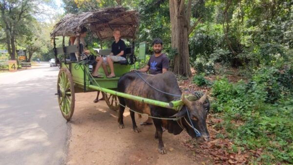 Sigiriya Lions Fortress and Polonnaruwa Day Tour From Kandy - Booking and Cancellation Policy