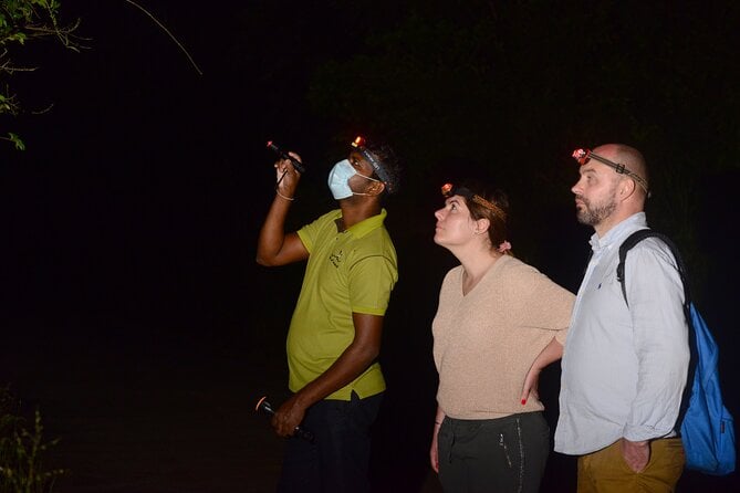 Sigiriya Loris-Tracking Private Nighttime Jungle Walk - Whats Included