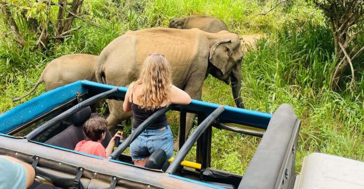Sigiriya: Minneriya Park Safari in Golden Hours 4x4 Jeep - Pickup Locations and Itinerary