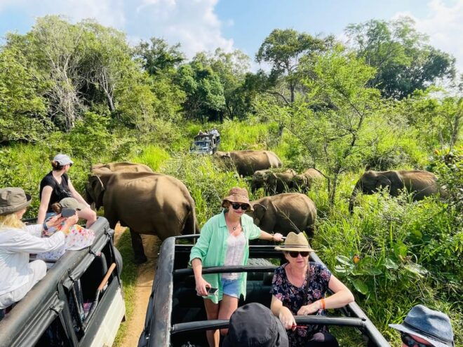 Sigiriya: Minneriya Park Safari in Golden Hours 4x4 Jeep - Unique Wildlife Experiences