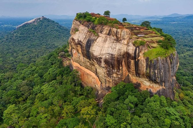 Sigiriya & Minneriya Safari Tour From Dambulla - Pickup Information