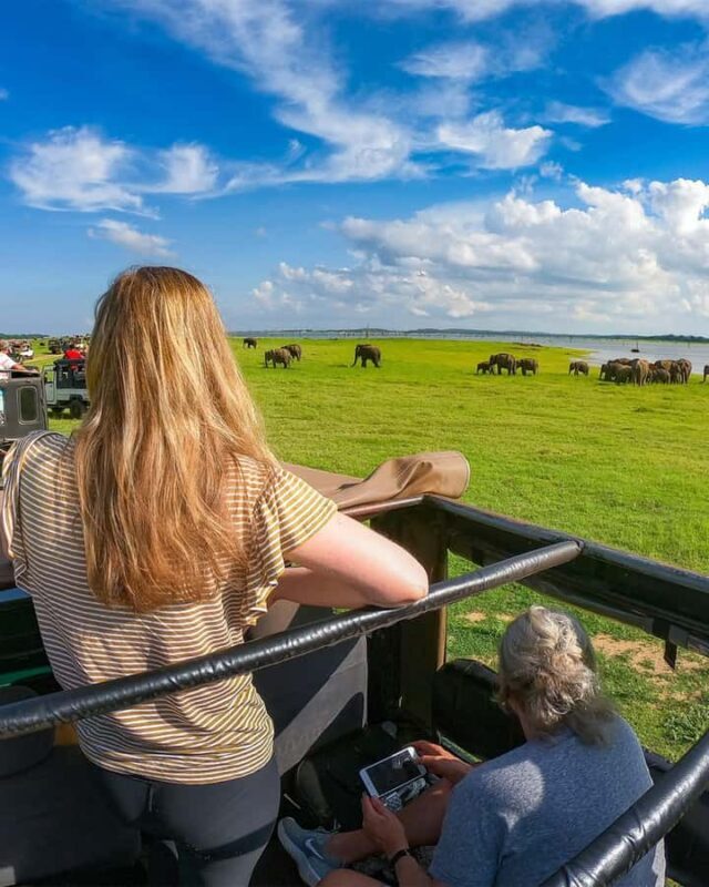 Sigiriya: Night Animal Watching Tour with Guide - Experience Sri Lanka’s Nocturnal Wildlife: Sigiriya Night Animal Watching Tour