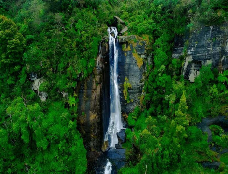 Sigiriya: Nuwara Eliya Day Trip with Tea Factory Visit - The Journey from Sigiriya to Nuwara Eliya