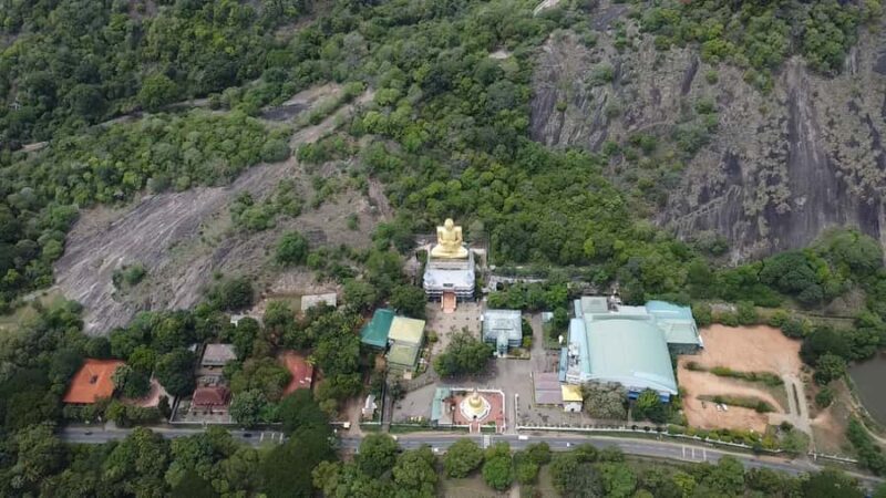 Sigiriya / Pidurangala & Dambulla Caves Tour by Local Expert - The Sum Up  