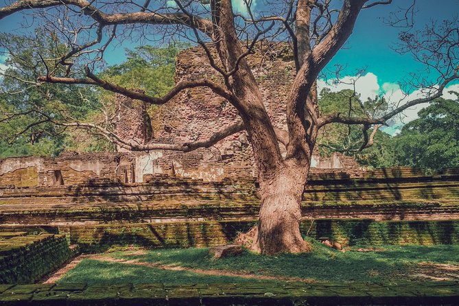 Sigiriya, Polonnaruwa & Dambulla "Trilogy" Day Tour From Colombo - Pricing