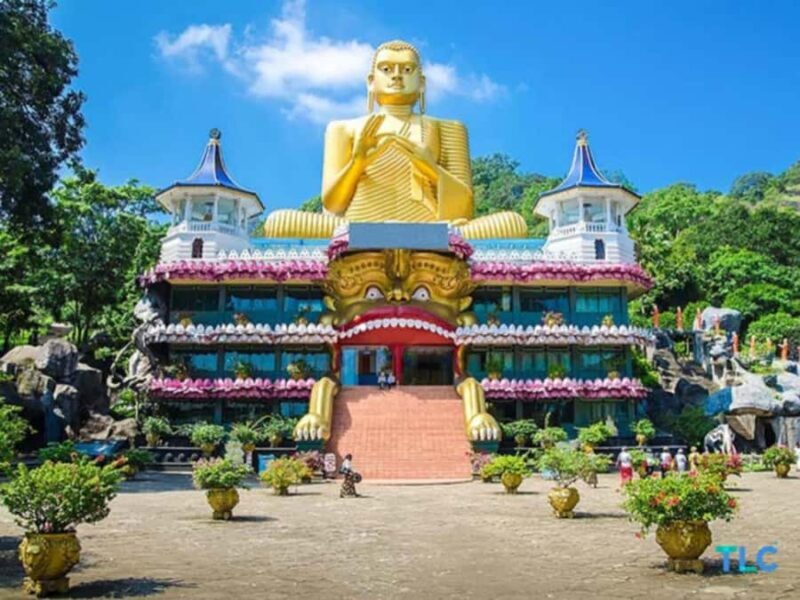 Sigiriya: Ritigala Forest Monastery & Dambulla Temple Tour - Good To Know